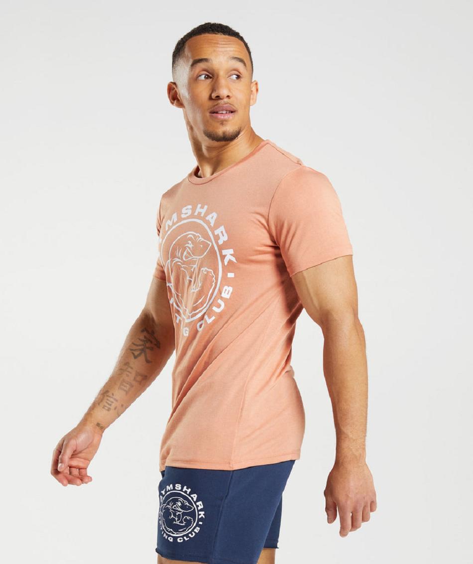 Gymshark Legacy Muške T Shirts Roze | HR 2414AHK